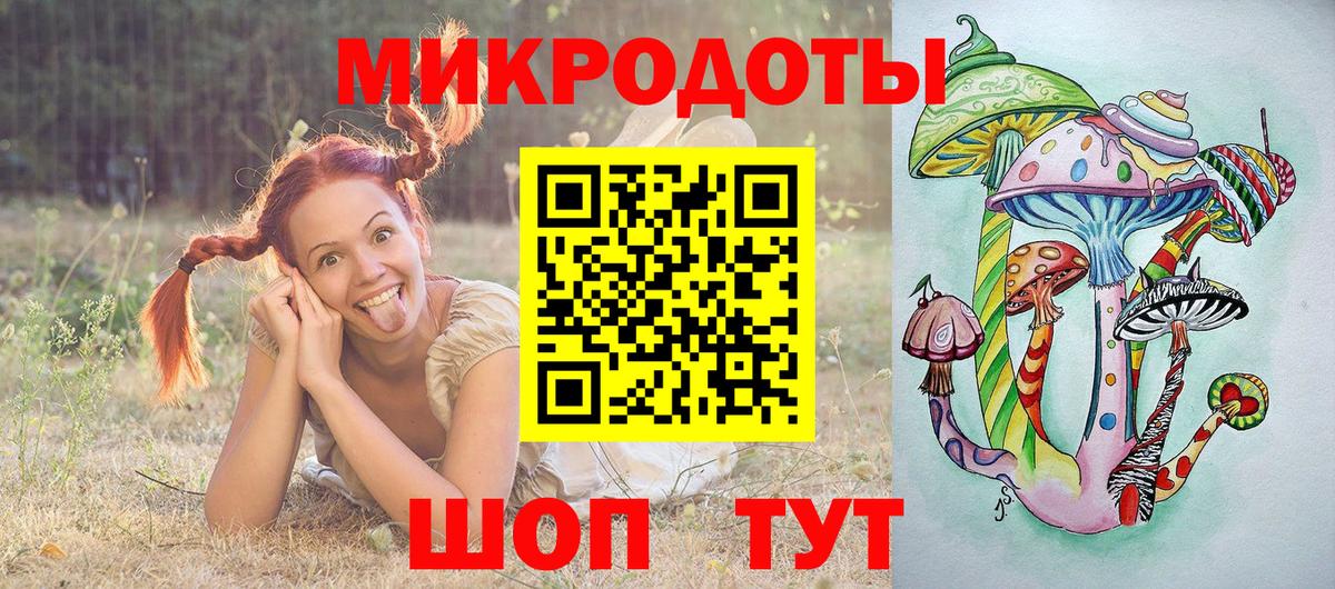 Галлюциногенные грибы Psilocybe Саяногорск